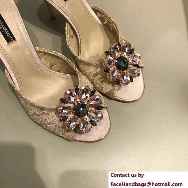 Dolce  &  Gabbana Heel 7cm Slippers Nude In Lace With Crystals 2018